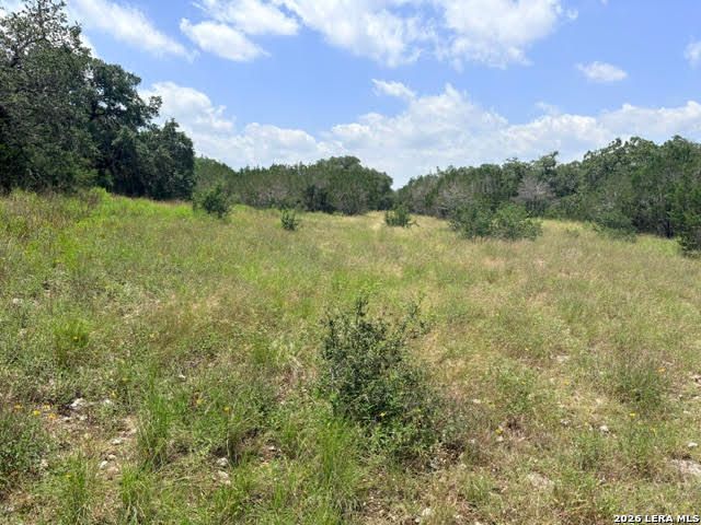 359 RIVER CLIFF PL, Spring Branch, TX 78070