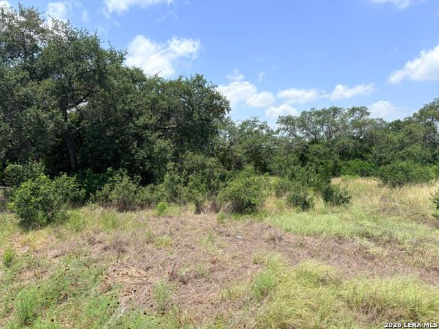 359 RIVER CLIFF PL, Spring Branch, TX 78070