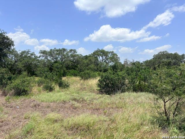 359 RIVER CLIFF PL, Spring Branch, TX 78070