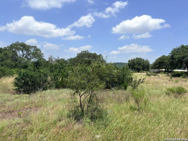 359 RIVER CLIFF PL, Spring Branch, TX 78070