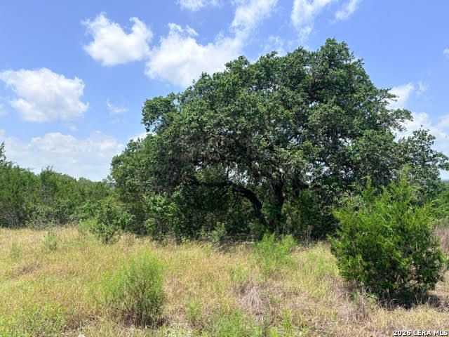 359 RIVER CLIFF PL, Spring Branch, TX 78070