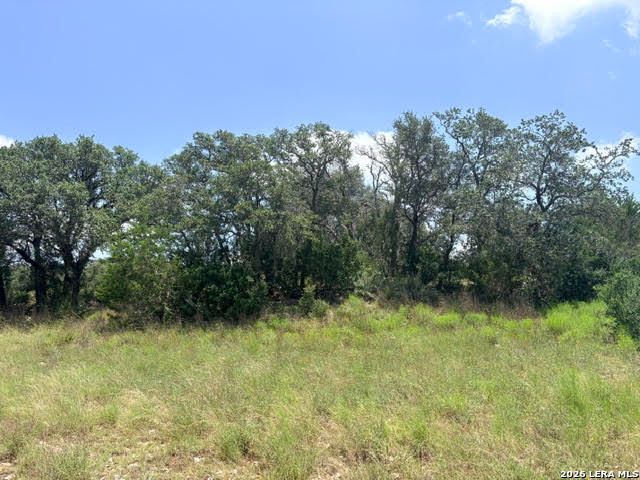 359 RIVER CLIFF PL, Spring Branch, TX 78070