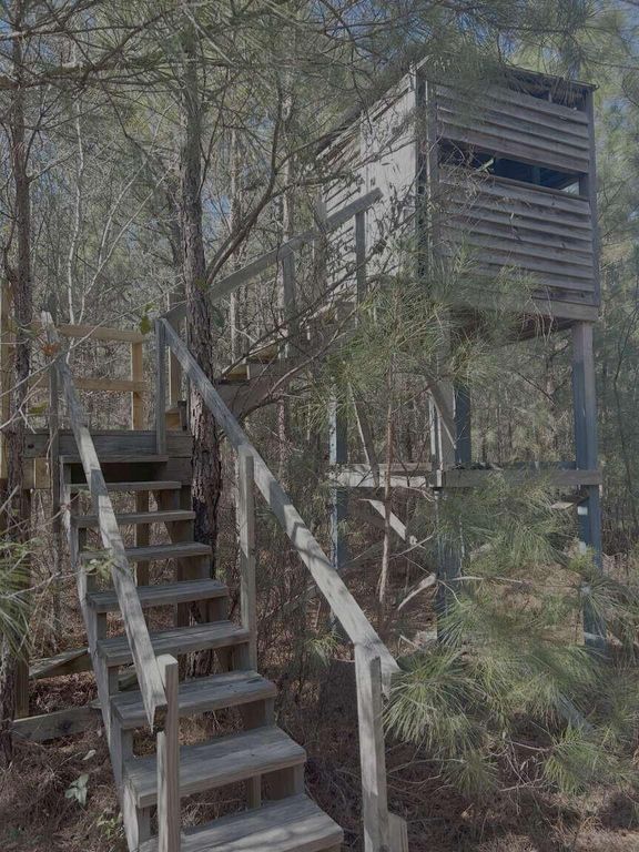 Image 12 of property listing at 0 Moses Dingle Road, Summerton, SC 29148