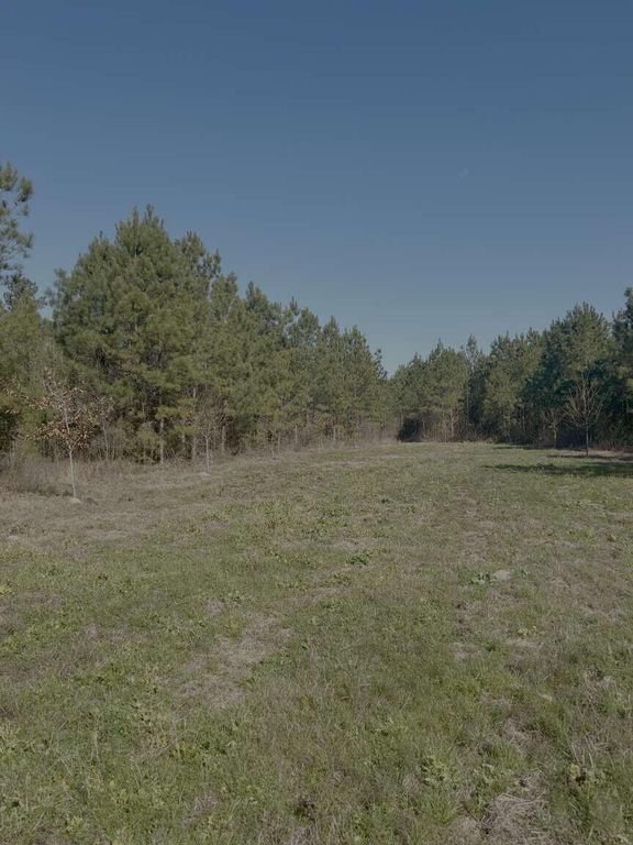 Image 15 of property listing at 0 Moses Dingle Road, Summerton, SC 29148