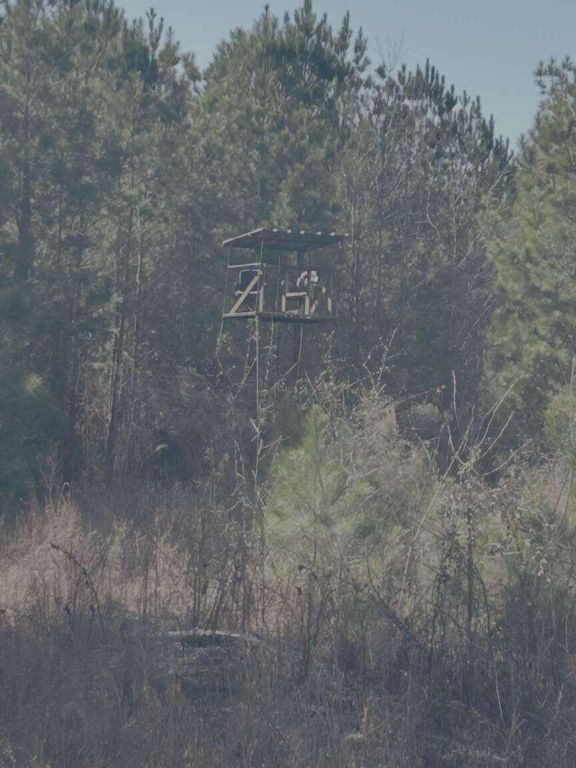 Image 16 of property listing at 0 Moses Dingle Road, Summerton, SC 29148