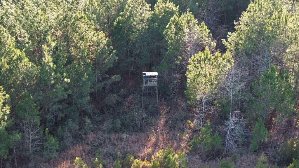 Image 17 of property listing at 0 Moses Dingle Road, Summerton, SC 29148