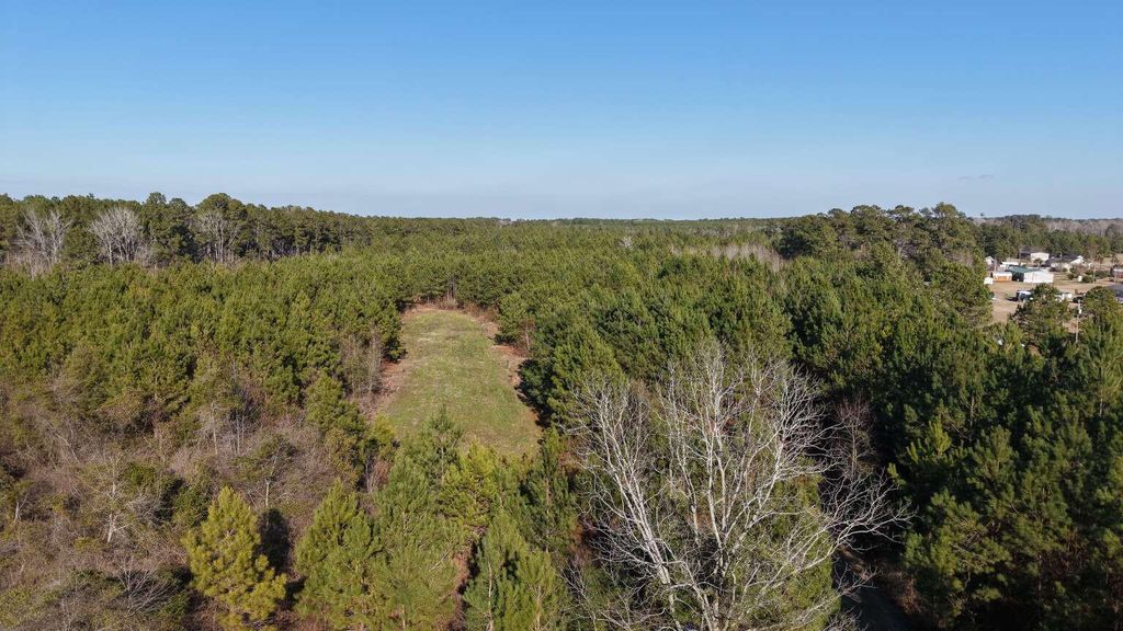 Image 18 of property listing at 0 Moses Dingle Road, Summerton, SC 29148