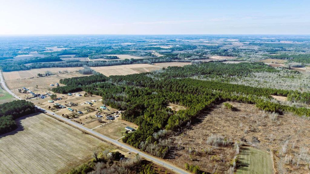 Image 3 of property listing at 0 Moses Dingle Road, Summerton, SC 29148