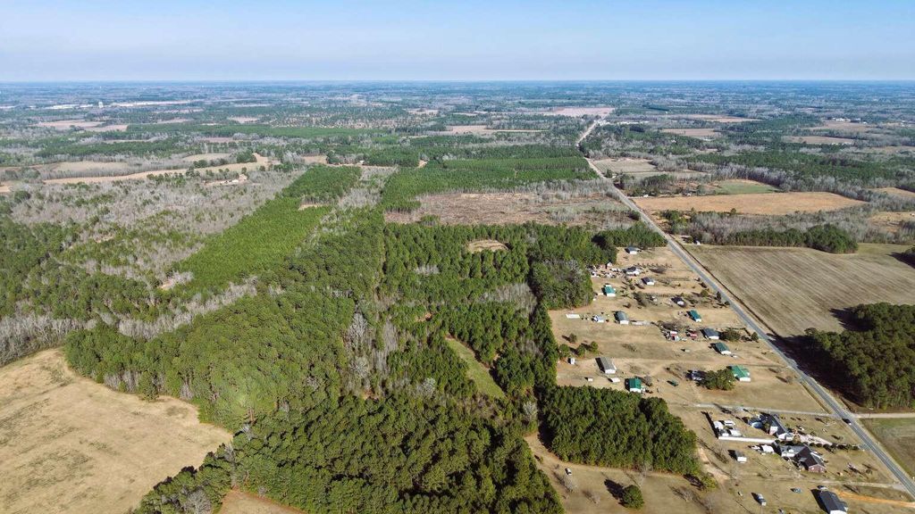 Image 4 of property listing at 0 Moses Dingle Road, Summerton, SC 29148