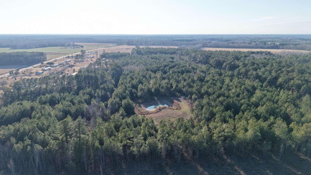 Image 5 of property listing at 0 Moses Dingle Road, Summerton, SC 29148