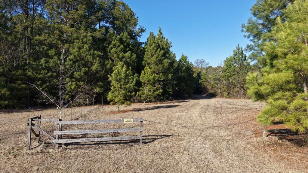 Image 9 of property listing at 0 Moses Dingle Road, Summerton, SC 29148