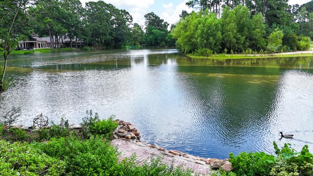 9515 Sotherloch Lake Drive, Spring, TX 77379