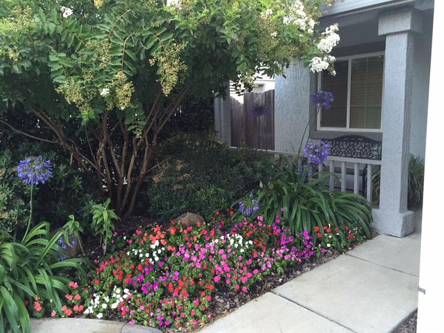 1421 Vigo Ct, Davis, CA 95618