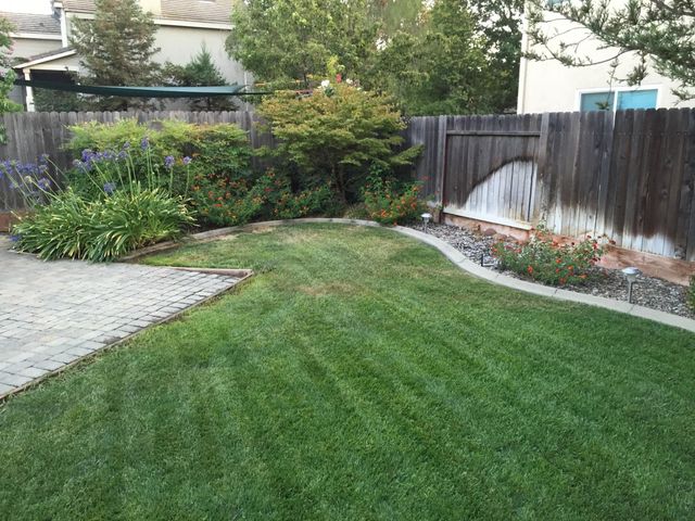 1421 Vigo Ct, Davis, CA 95618