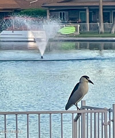 14007 N WHISPERING LAKE Drive, Sun City, AZ 85351