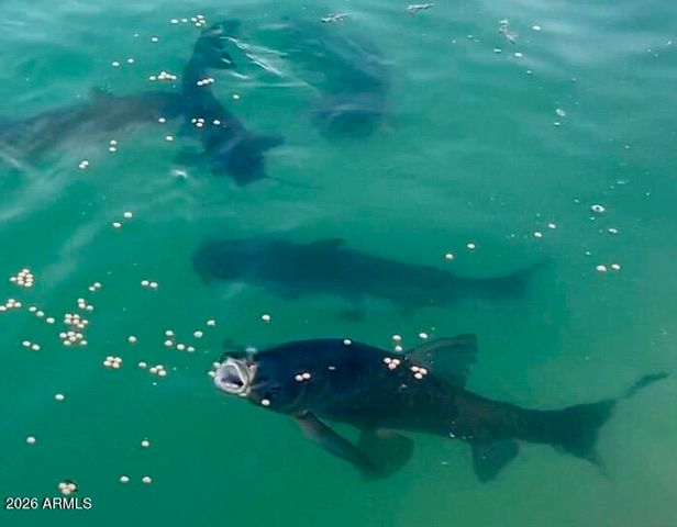 14007 N WHISPERING LAKE Drive, Sun City, AZ 85351