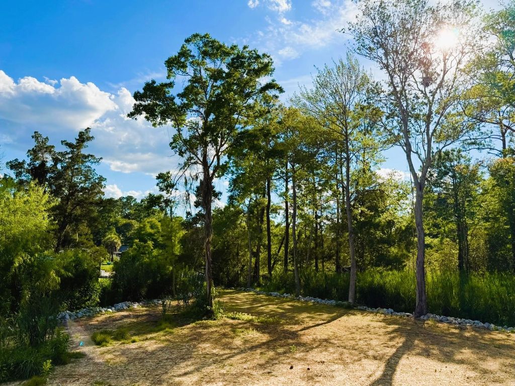 67 Ricefield Pl., Georgetown, SC 29440 — photo 2