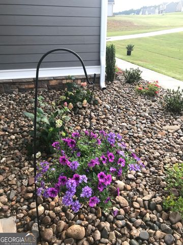 233 Springdale Estates Drive, Senoia, GA 30276