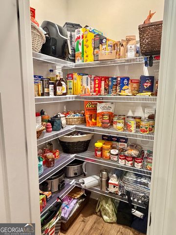 233 Springdale Estates Drive, Senoia, GA 30276