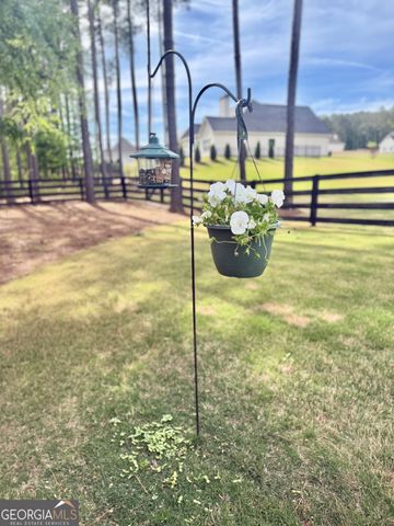 233 Springdale Estates Drive, Senoia, GA 30276