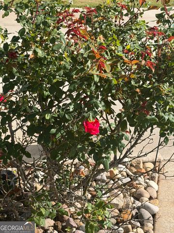 233 Springdale Estates Drive, Senoia, GA 30276