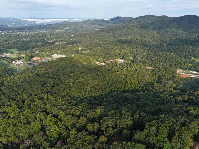 L 48C Byron Street, Blairsville, GA 30512