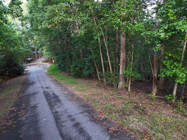 L 48C Byron Street, Blairsville, GA 30512