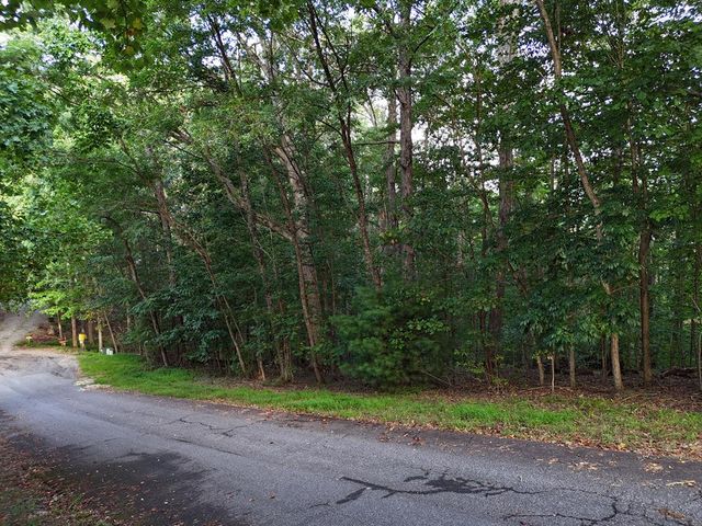 L 48C Byron Street, Blairsville, GA 30512