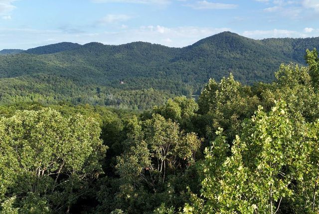 L 48C Byron Street, Blairsville, GA 30512