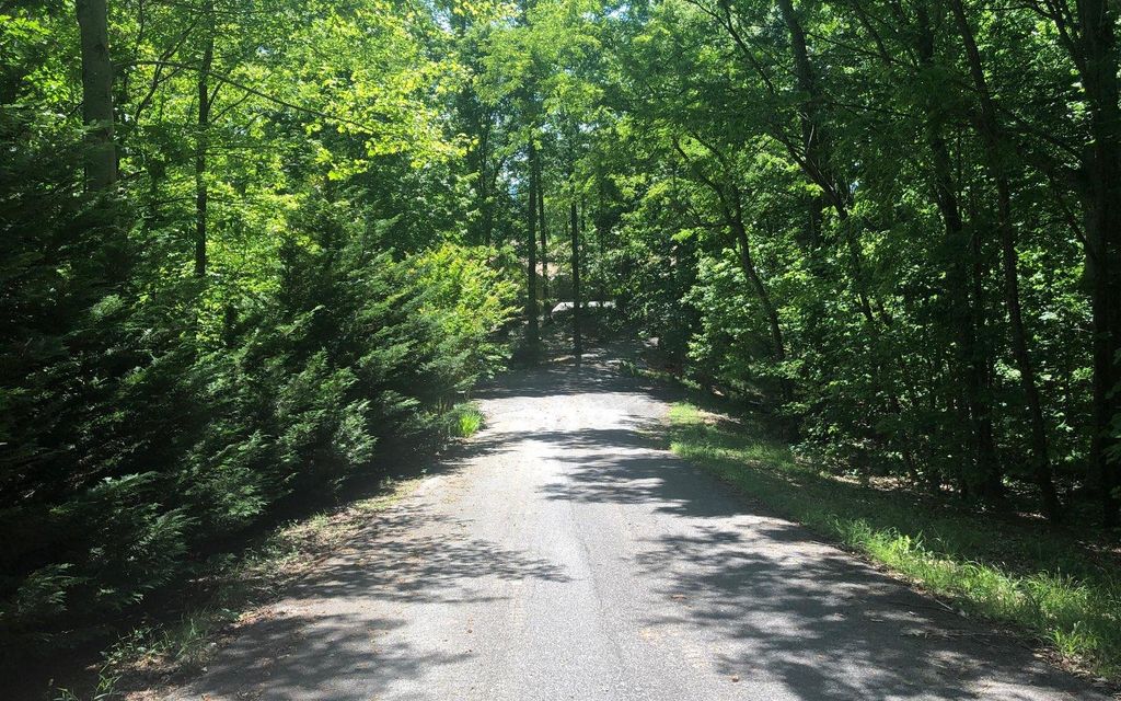L 48C Byron Street, Blairsville, GA 30512