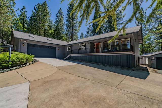 21120 Vista Amorosa Ct, Pine Grove, CA 95665