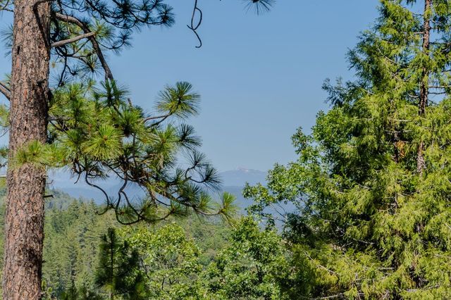 21120 Vista Amorosa Ct, Pine Grove, CA 95665