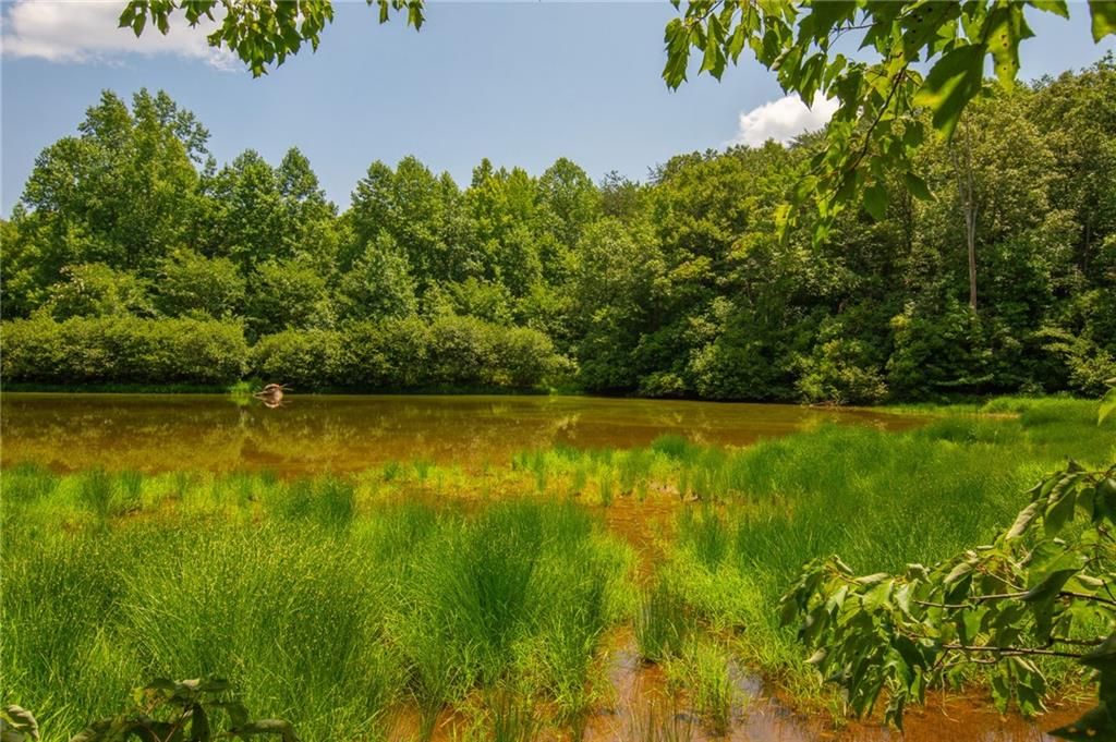 Image 1 of property listing at 00 Porter Springs Road, Dahlonega, GA 30533