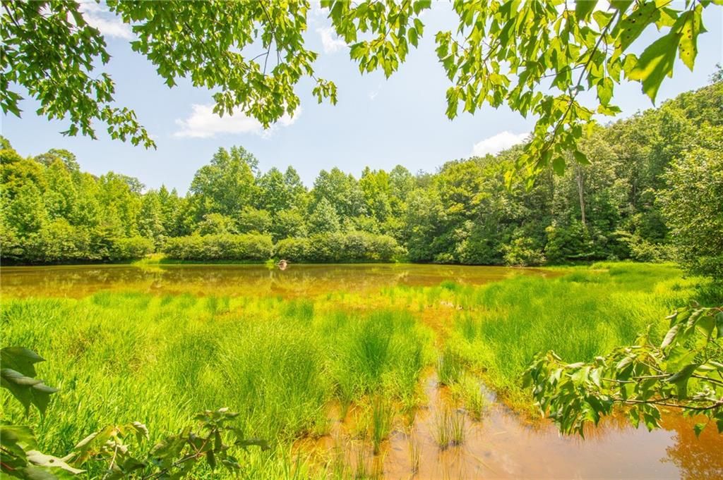 Image 10 of property listing at 00 Porter Springs Road, Dahlonega, GA 30533