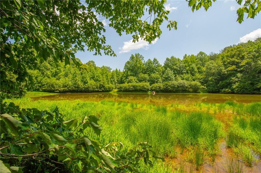 Image 11 of property listing at 00 Porter Springs Road, Dahlonega, GA 30533