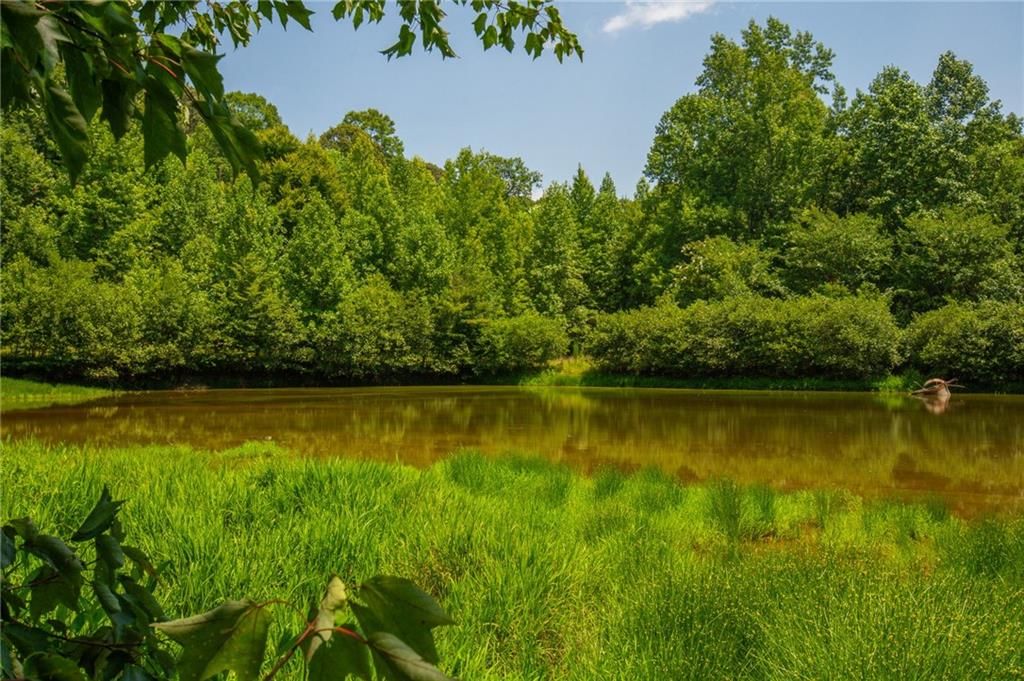 Image 12 of property listing at 00 Porter Springs Road, Dahlonega, GA 30533