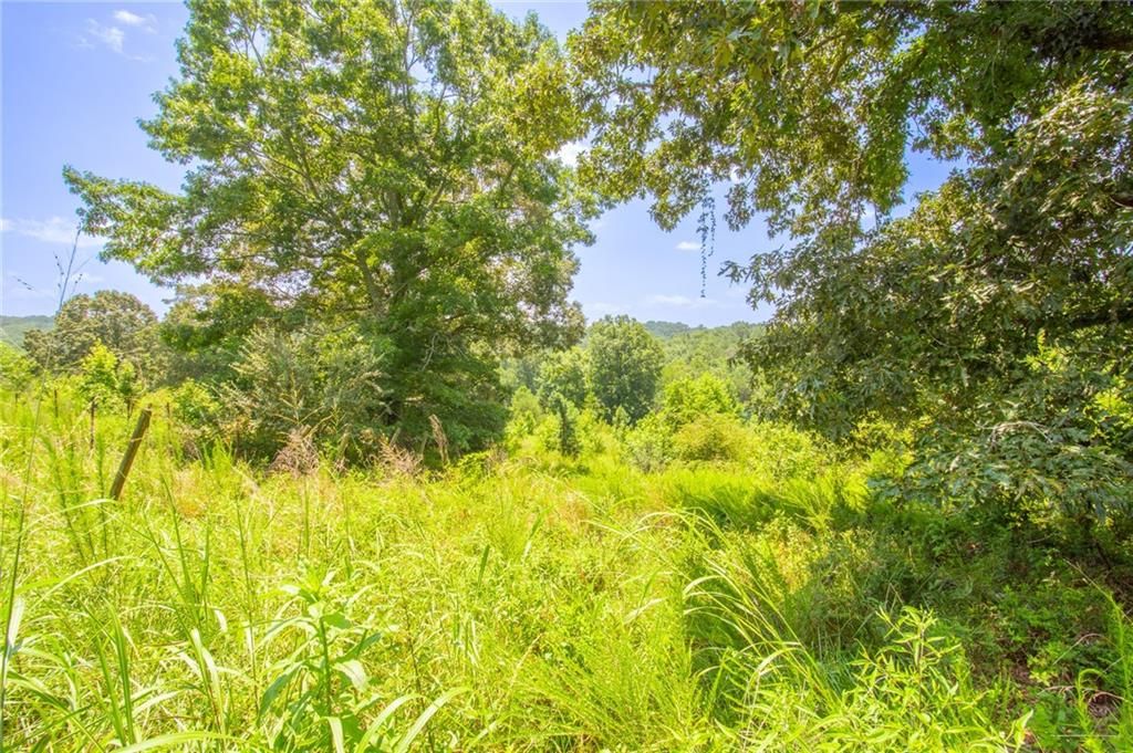 Image 13 of property listing at 00 Porter Springs Road, Dahlonega, GA 30533