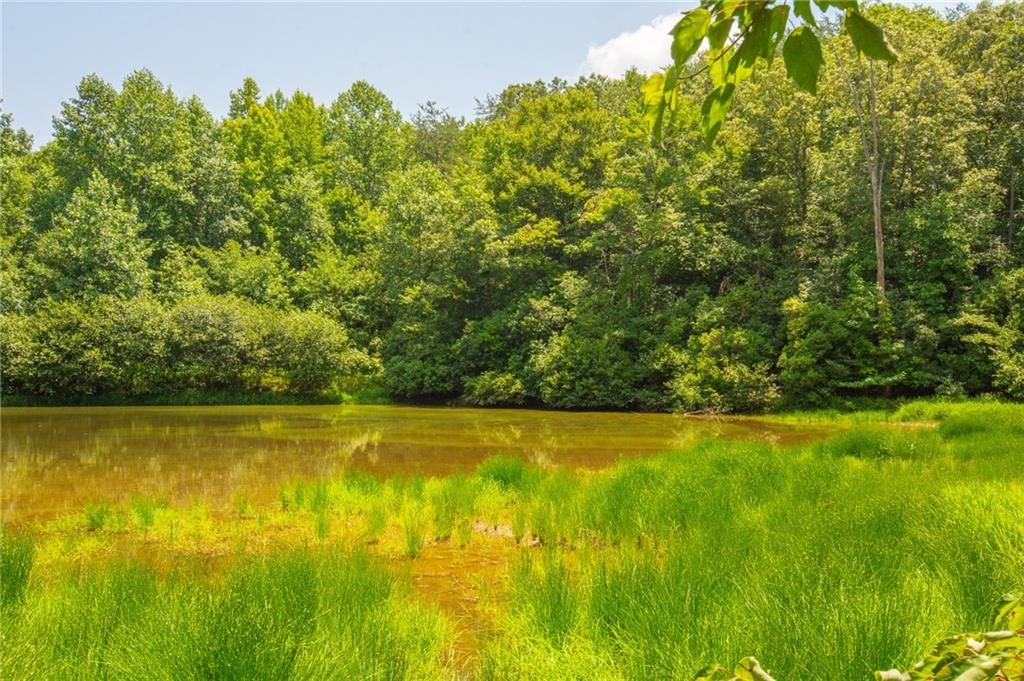 Image 14 of property listing at 00 Porter Springs Road, Dahlonega, GA 30533