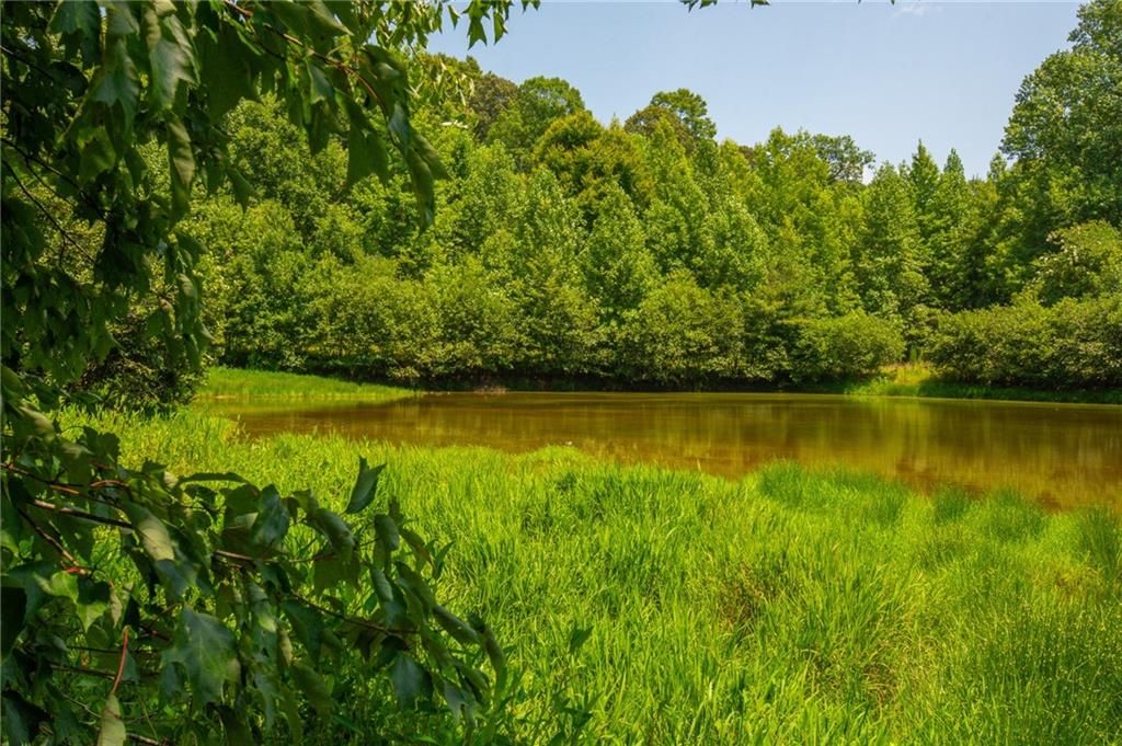 Image 15 of property listing at 00 Porter Springs Road, Dahlonega, GA 30533