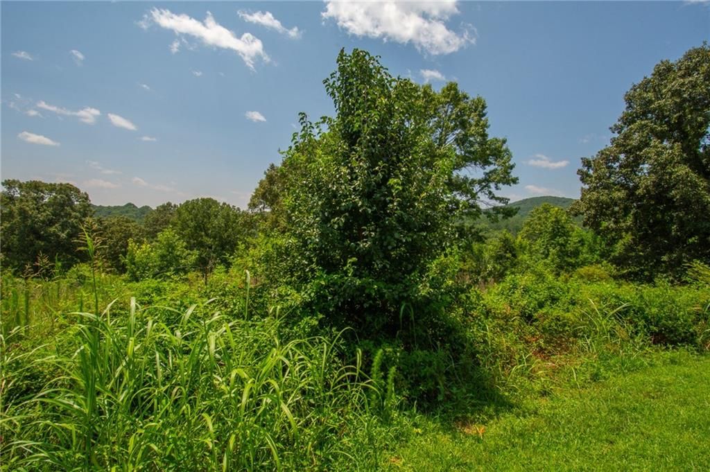 Image 8 of property listing at 00 Porter Springs Road, Dahlonega, GA 30533