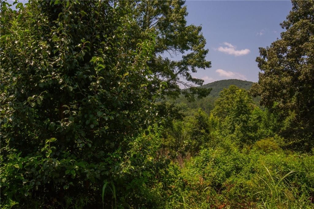 Image 9 of property listing at 00 Porter Springs Road, Dahlonega, GA 30533