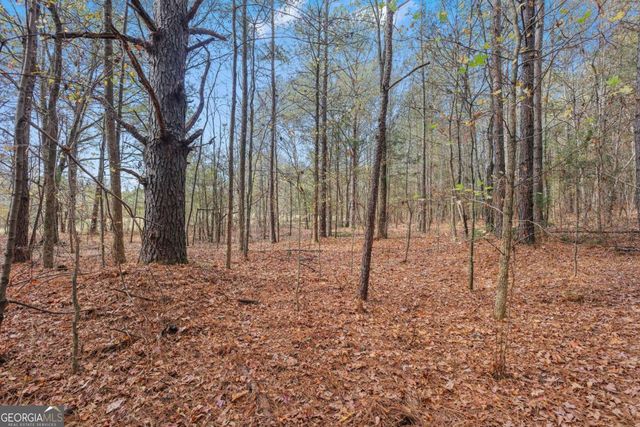 63 Paul Smith Road 2, Covington, GA 30014