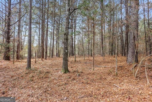 63 Paul Smith Road 2, Covington, GA 30014