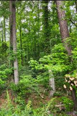 Lot 84 Baker Dr, Denham Springs, LA 70726