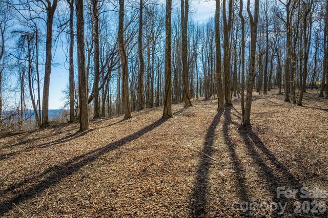 7596 Walkertop Mtn Overlook Drive, Morganton, NC 28655