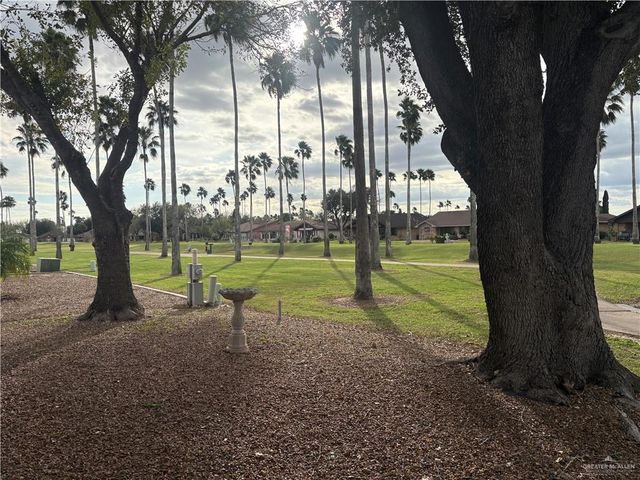 915 Citrus Drive, Alamo, TX 78516