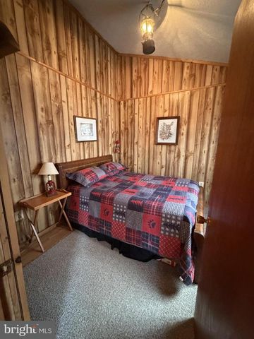 217 MEADOW VIEW DR, Lost City, WV 26810