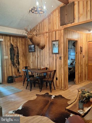 217 MEADOW VIEW DR, Lost City, WV 26810