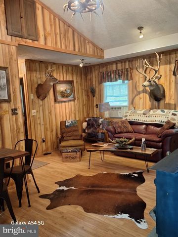 217 MEADOW VIEW DR, Lost City, WV 26810