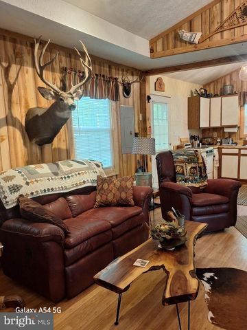 217 MEADOW VIEW DR, Lost City, WV 26810